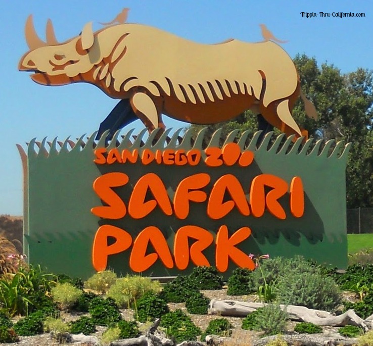 San diego wild animal park directions
