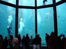 List of all the Aquariums in California..