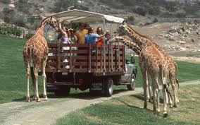 San Diego Safari Park..