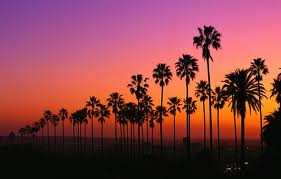 Venice Beach Sunset..